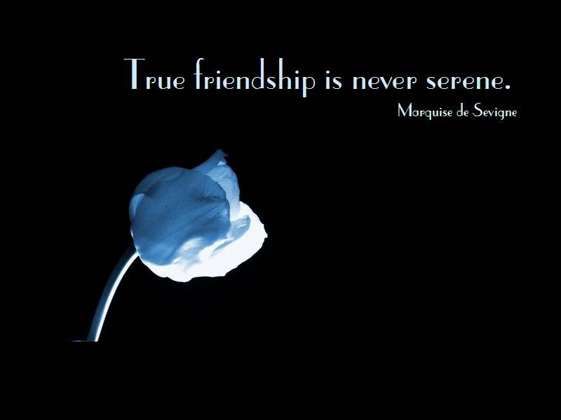 Melformer: Famous Friendship Quotes