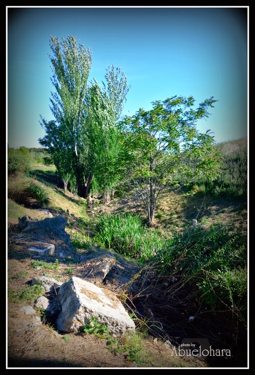 Parque Lineal Arroyo Culebro. #Leganés