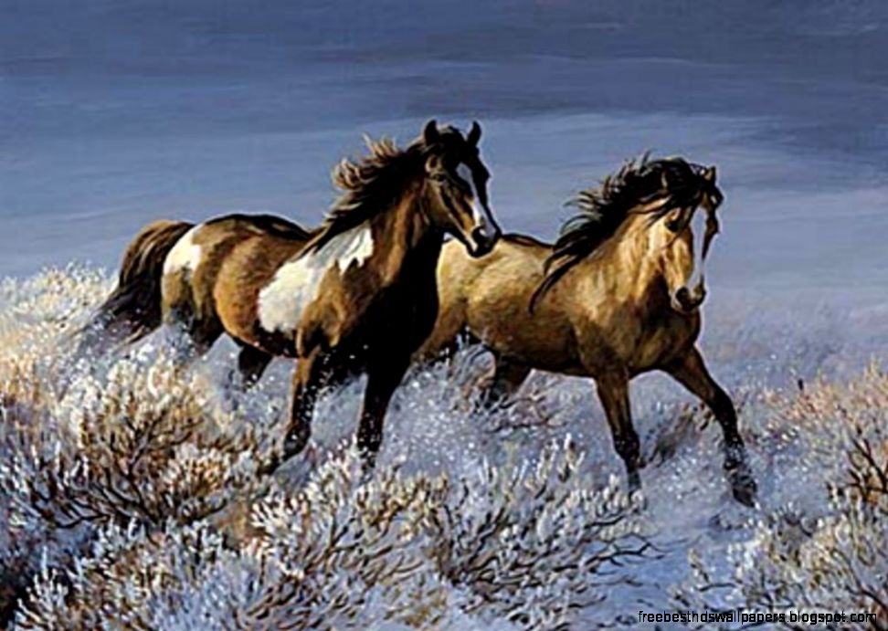 Wild Horses Running Free