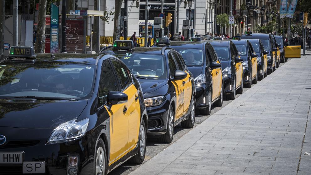 Flota de taxis a tu disposición