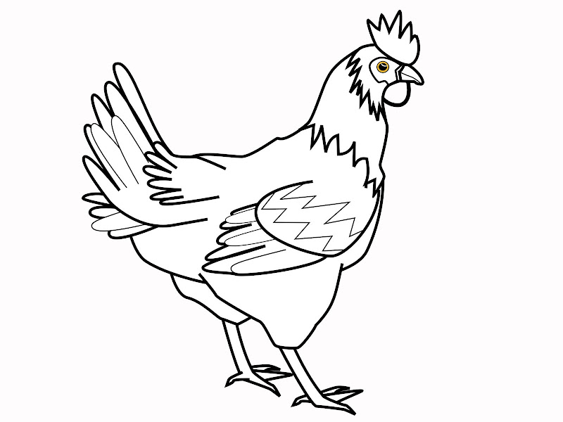 Chicken Cartoon And Printable Chickens Coloring Pages title=