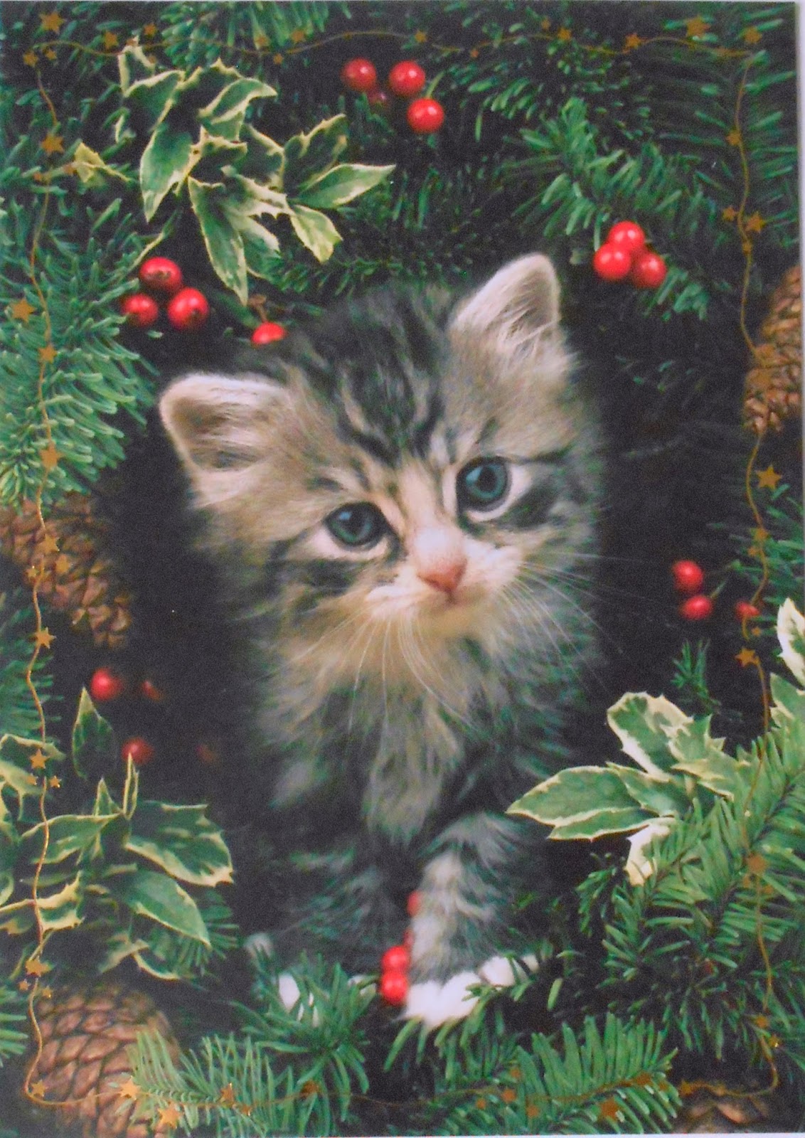 Новогодняя кошечка на заставку