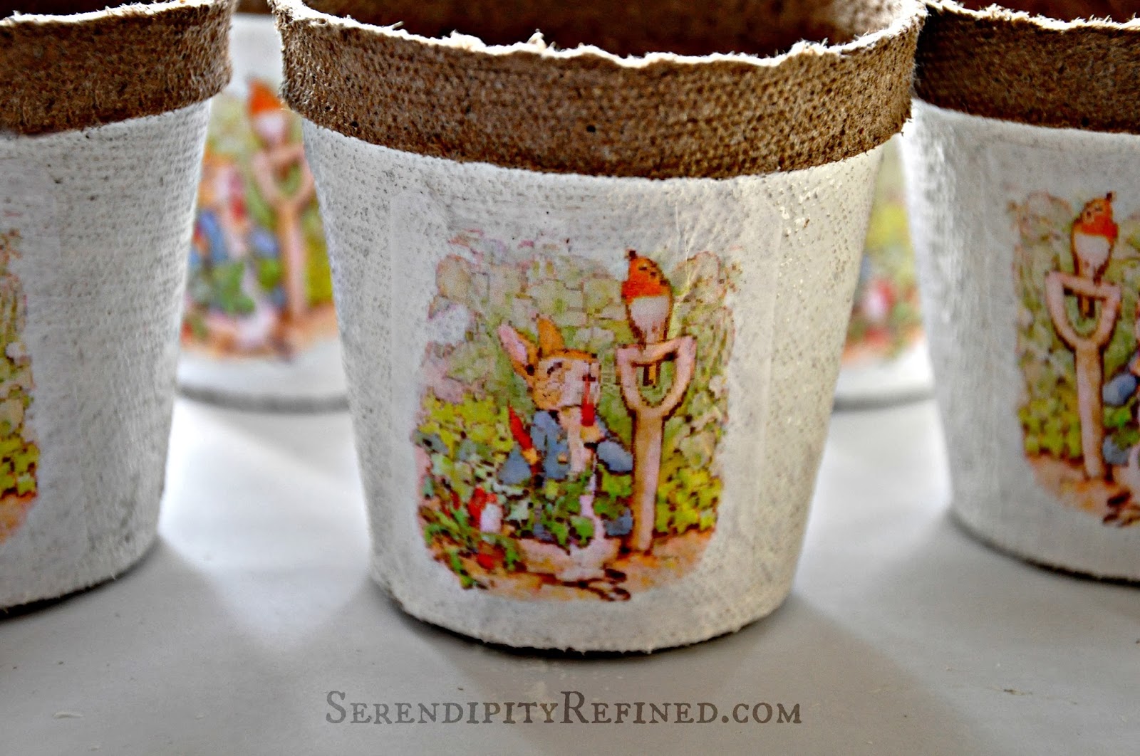 Serendipity Refined Blog Easy Spring DIY Craft Peter Rabbit Decorated