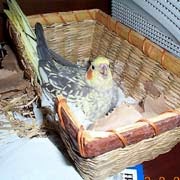 danneel ackles supernatural personagem : Que erro! Os prós e contras de danneel ackles supernatural personagem