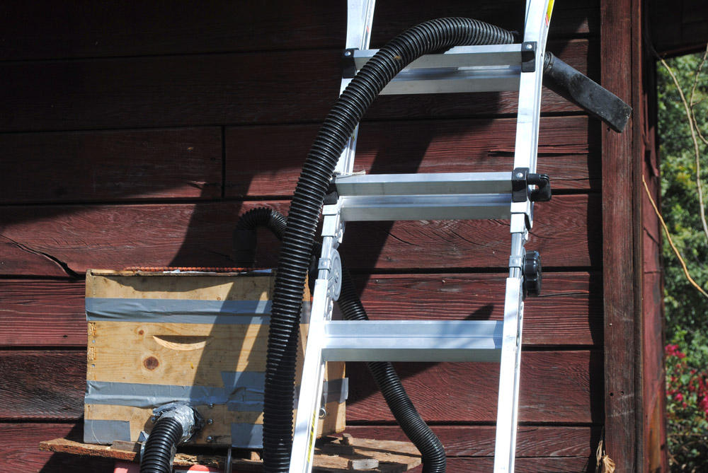 Roxana Illuminated Perfume Red Barn Bee Rescue