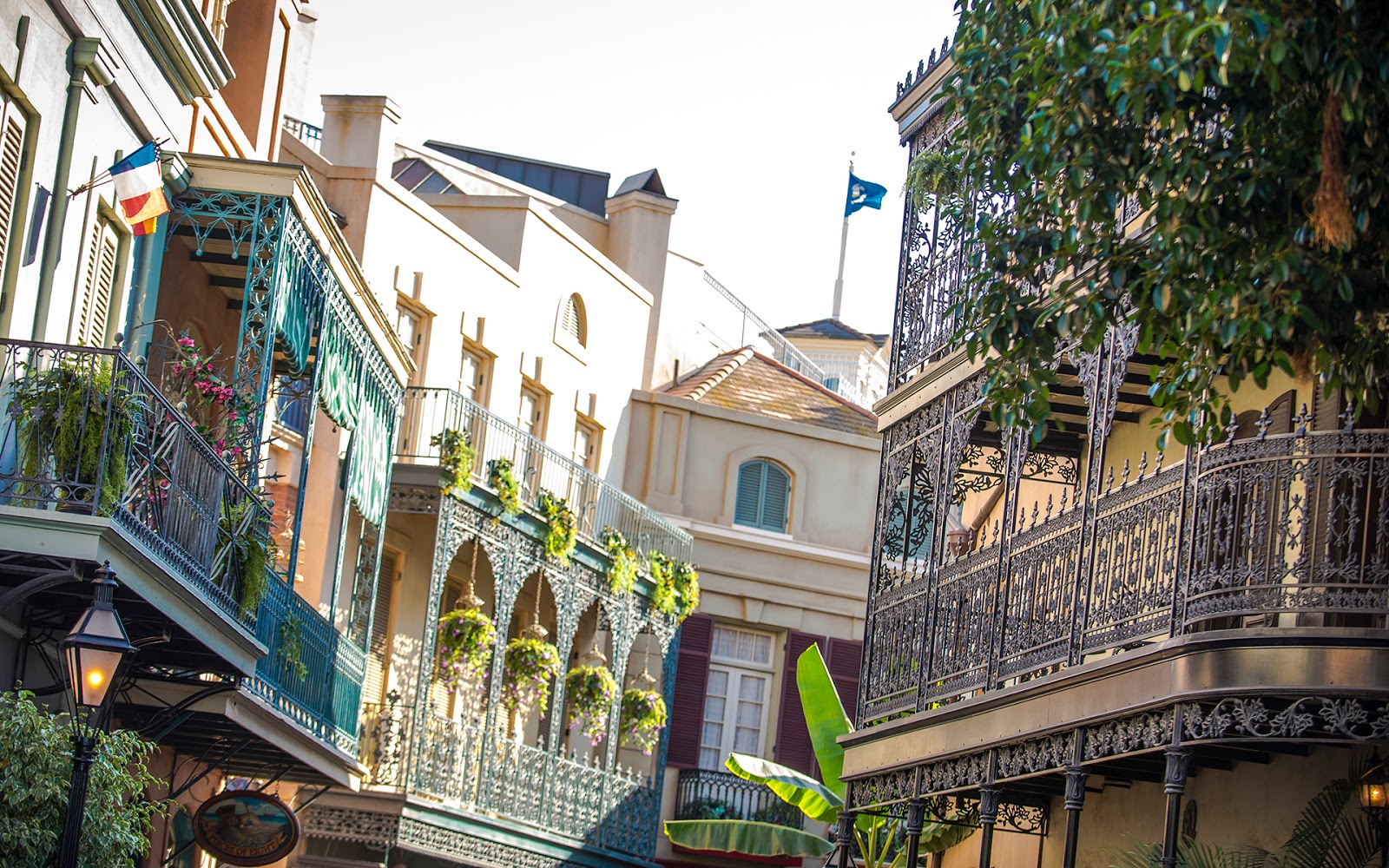 The Winding Turns of Royal Street