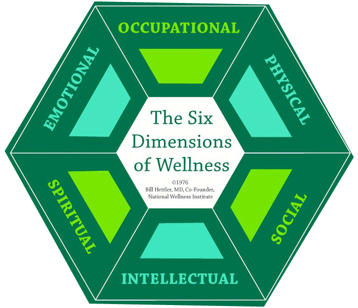 ALS and Wellness Blog ALS Wellness Life Dimensions Model How You Can