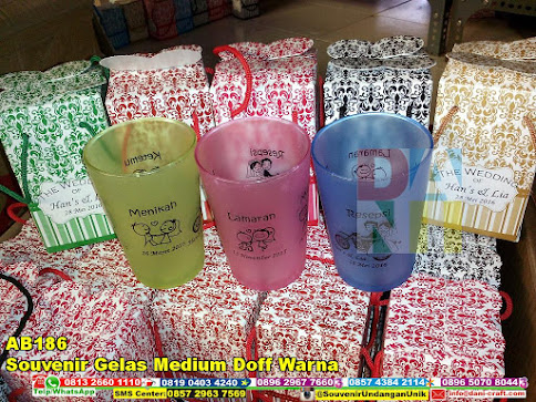 jual Souvenir Gelas Medium Doff Warna