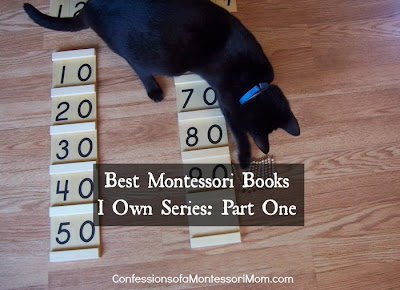 photo of black cat next to the Montessori ten boards