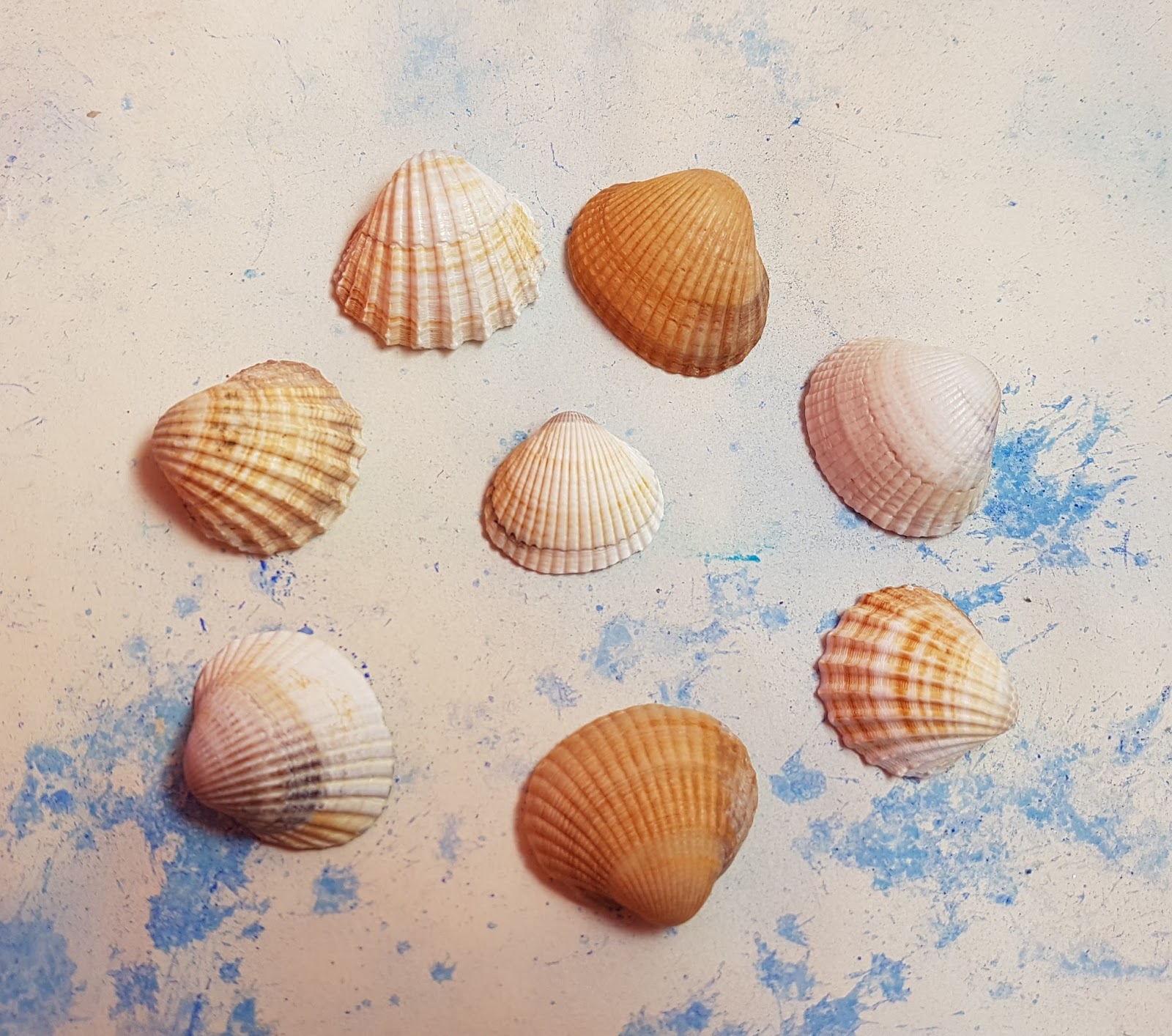 View Nieziemska Cynthia Hand Images