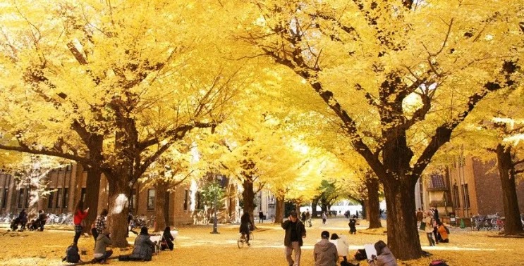 Tokyo University Keren! Ini Dia 11 Kampus Terindah di Dunia