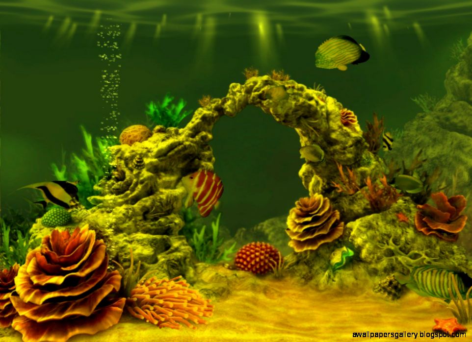 C Reefs Hardy Reef Plant C Ocean Wallpaper Wide for High