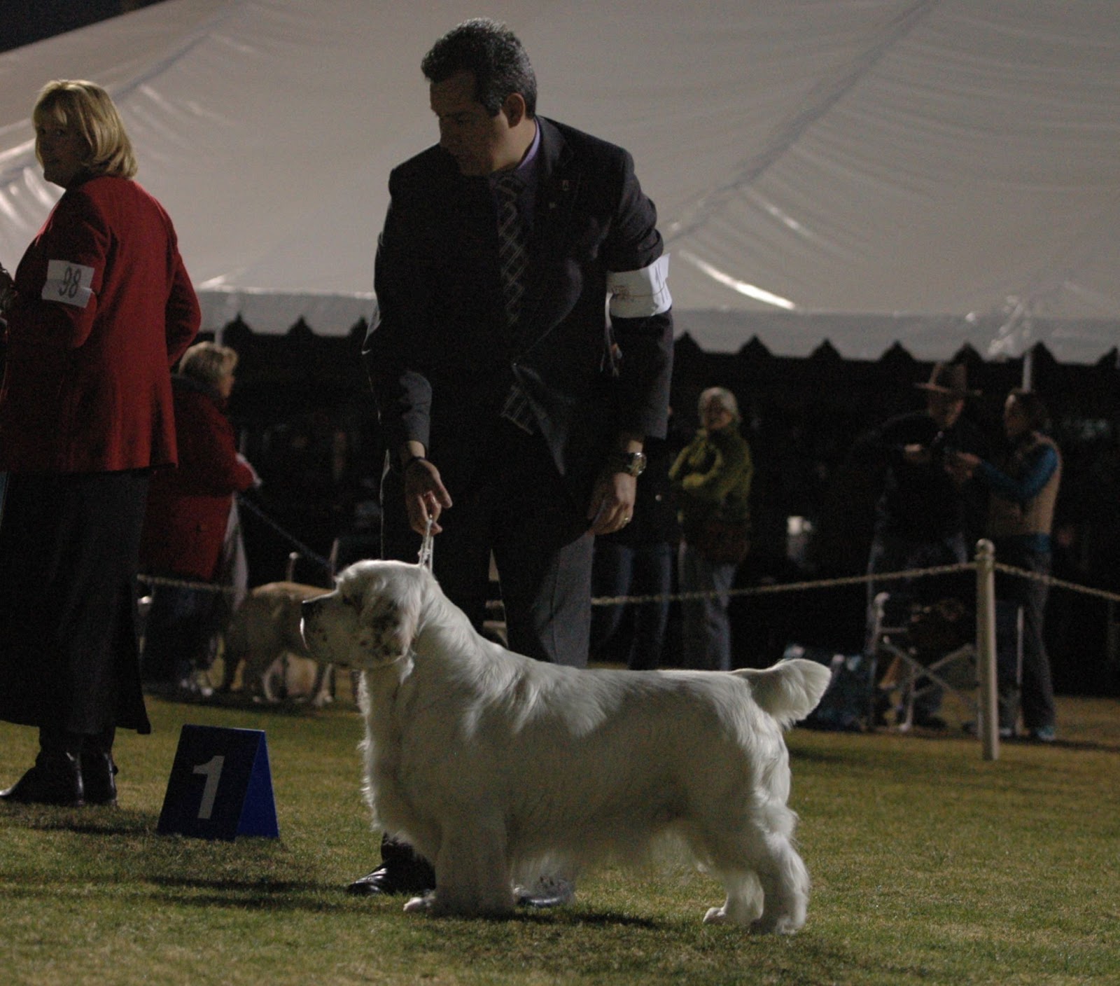DOG SHOW POOP FIRST TIMER IN PORTLAND