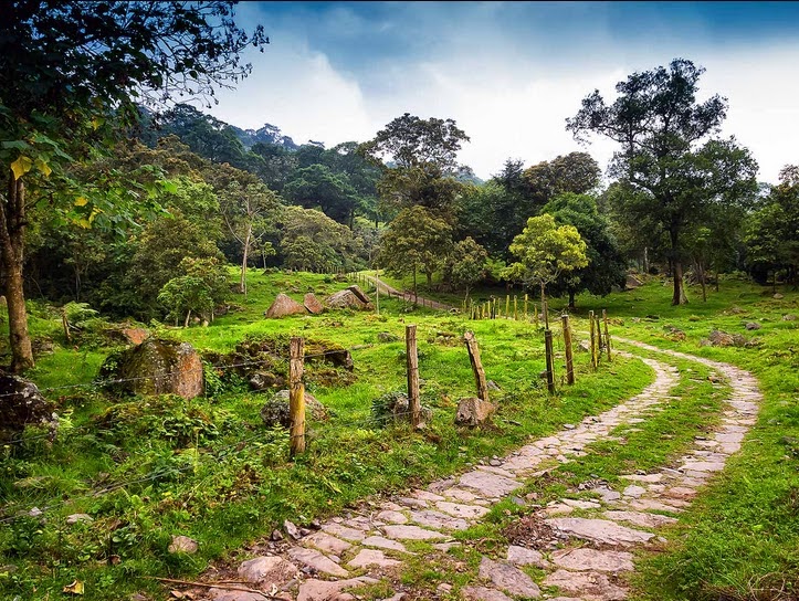 fotos-de-paisajes-colombianos