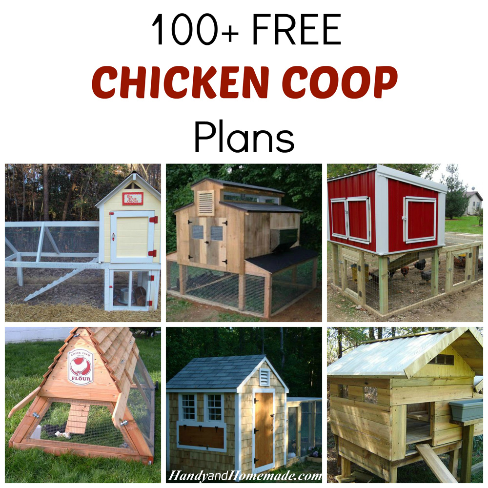 Chicken Coop Plans 100 Chickens ~ Loung park