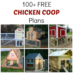 coop chicken plans diy chickens coops homemade designs building easy backyard handy build portable raising farming flock barn plan baghave