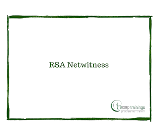 RSA Netwitness Training in Hyderabad India
