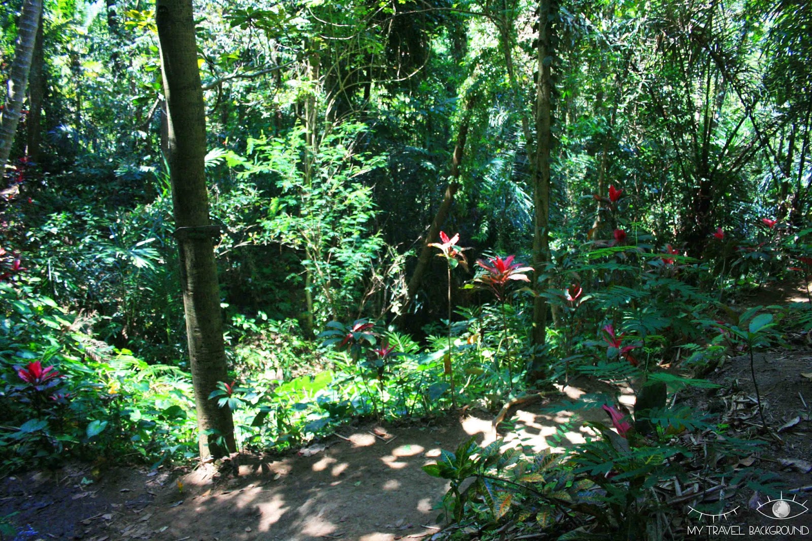My Travel Background : 6 choses à faire à Ubud, au centre de Bali - Elephant Cave