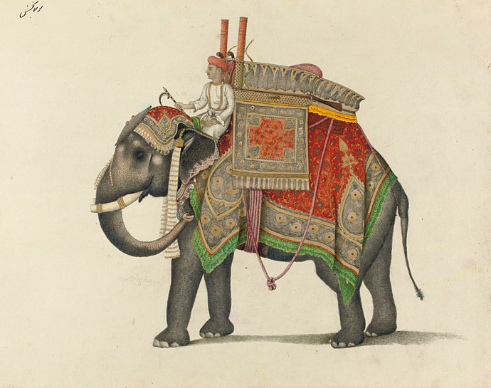 The Circus "NO SPIN ZONE" State Elephants in Art