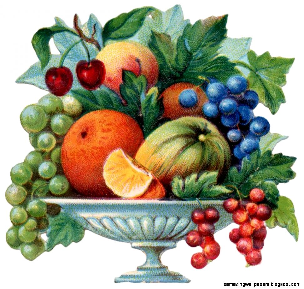 Fruit Bowl Art | Amazing Wallpapers
