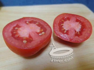 tomat sayur