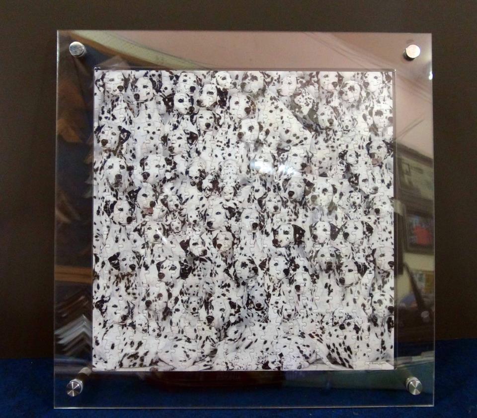 ArtBug Buzzing Doublesided Puzzle Framing