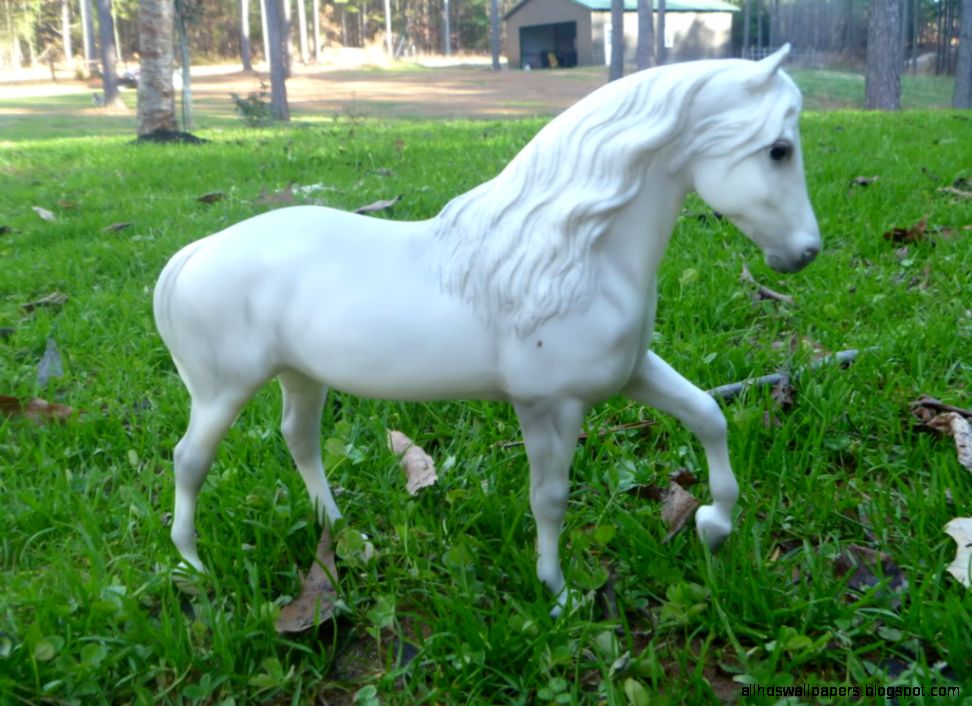 Model Horse Competition  ONLY 10 MORE DAYS TO GET YOUR ENTRY IN