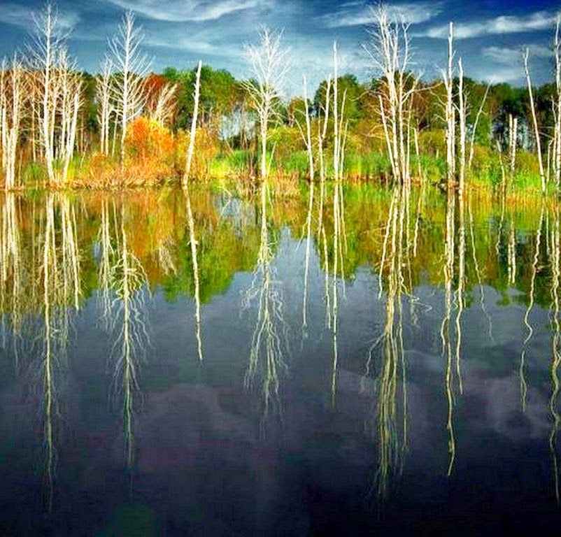 fotografias-de-paisajes-reflejados-en-el-agua