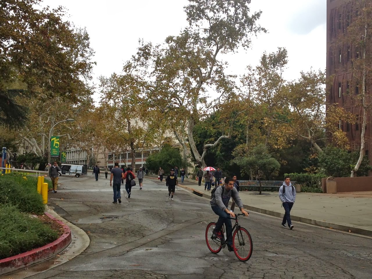 Experiencing Los Angeles: On Campus and on the Farm at Cal Poly Pomona