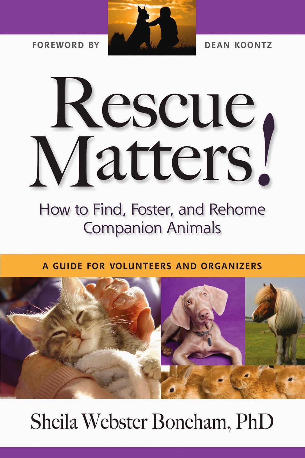 Rescue Matters: How to Find, Foster, and Rehome Companion Animals