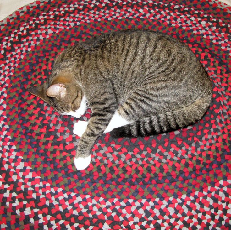 diy sock rug glass notes diy project recycled t shirts rag rug aka diy sock rug glass notes diy project recycled t shirts rag rug aka