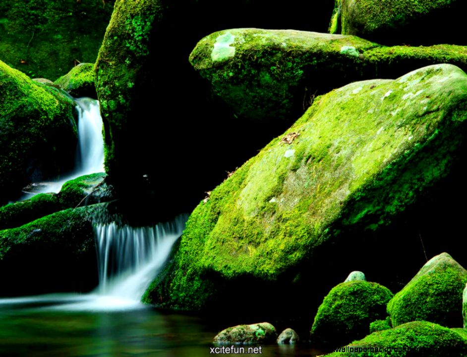 Green Nature Desktop