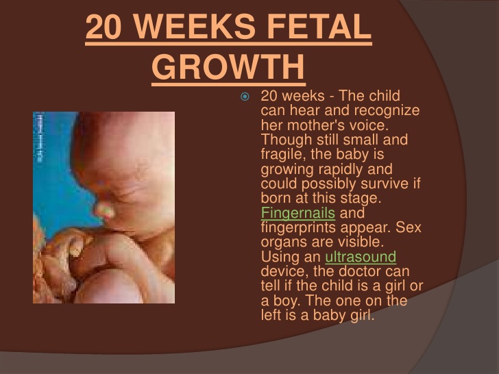 Stillbirth Or Miscarriage What's The Difference, Why Not To Confuse