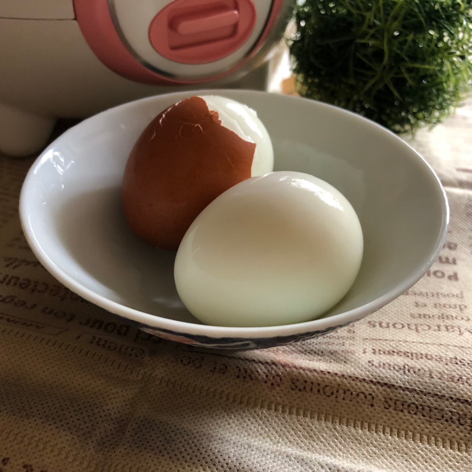 My Mind Patch Mini Rice Cooker Steamed Hardboiled Egg