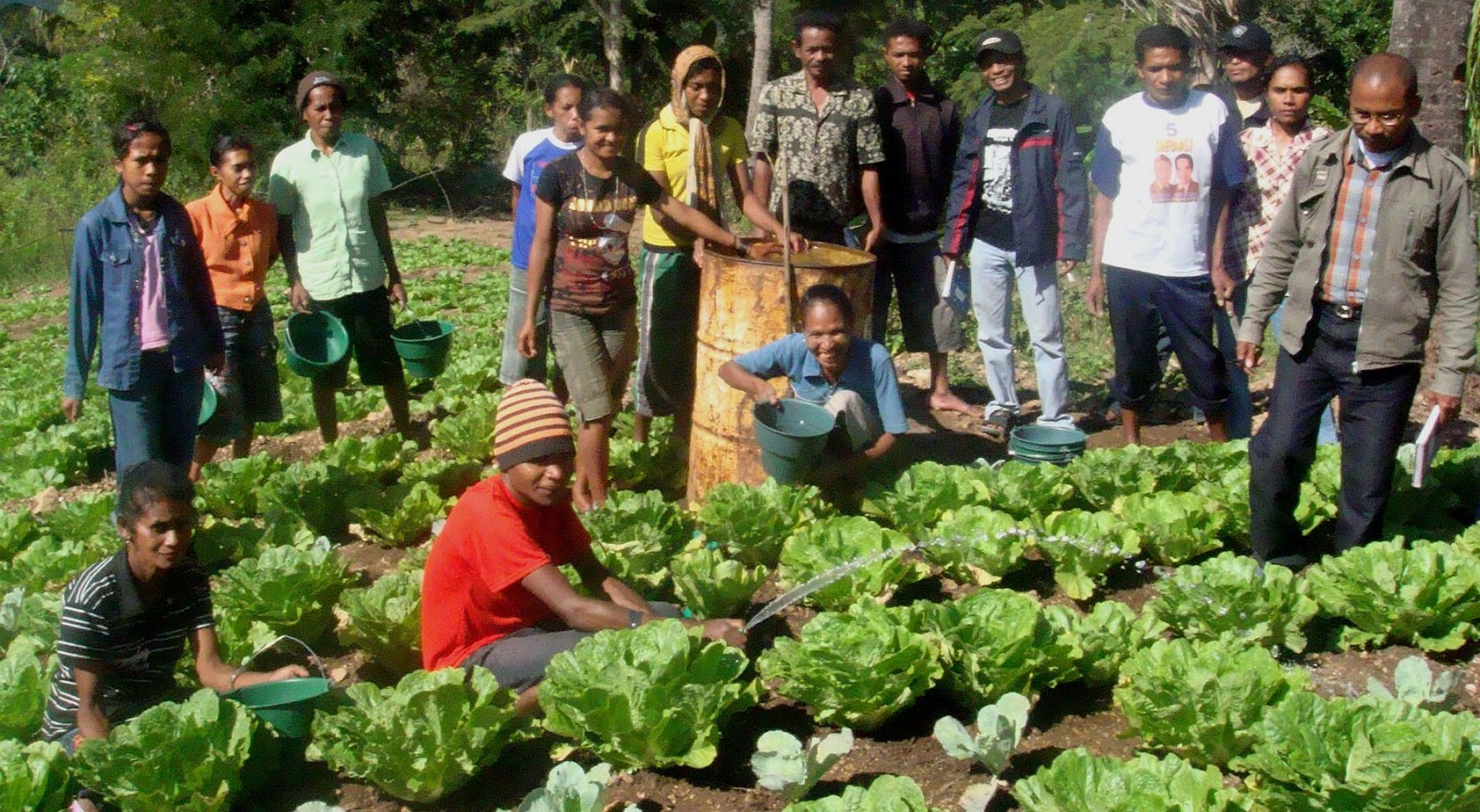 Peluang Emas Agribisnis di Kuripan Kidul: Panduan Memulai Usaha Menggiurkan di Desa
