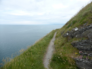 the narrow path