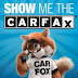 Check a used Car with a Carfax Report