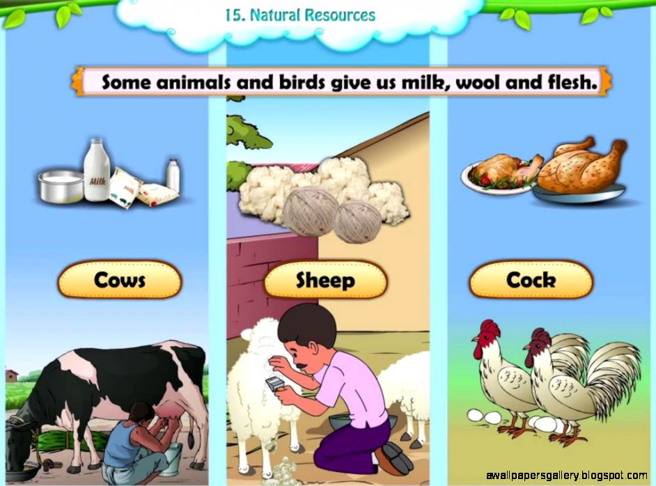 Examples Of Capital Resources For Kids | Wallpapers Gallery