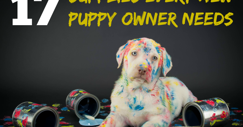 17 Supplies Every New Puppy Owner Needs Pawsitively Pets
