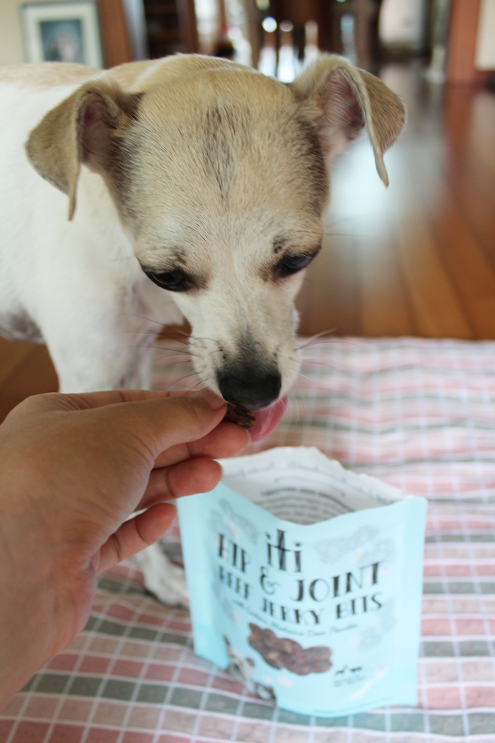 iti Pet Dog Treats from New Zealand Review