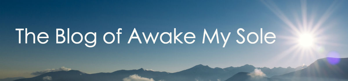 The Blog of Awake My Sole