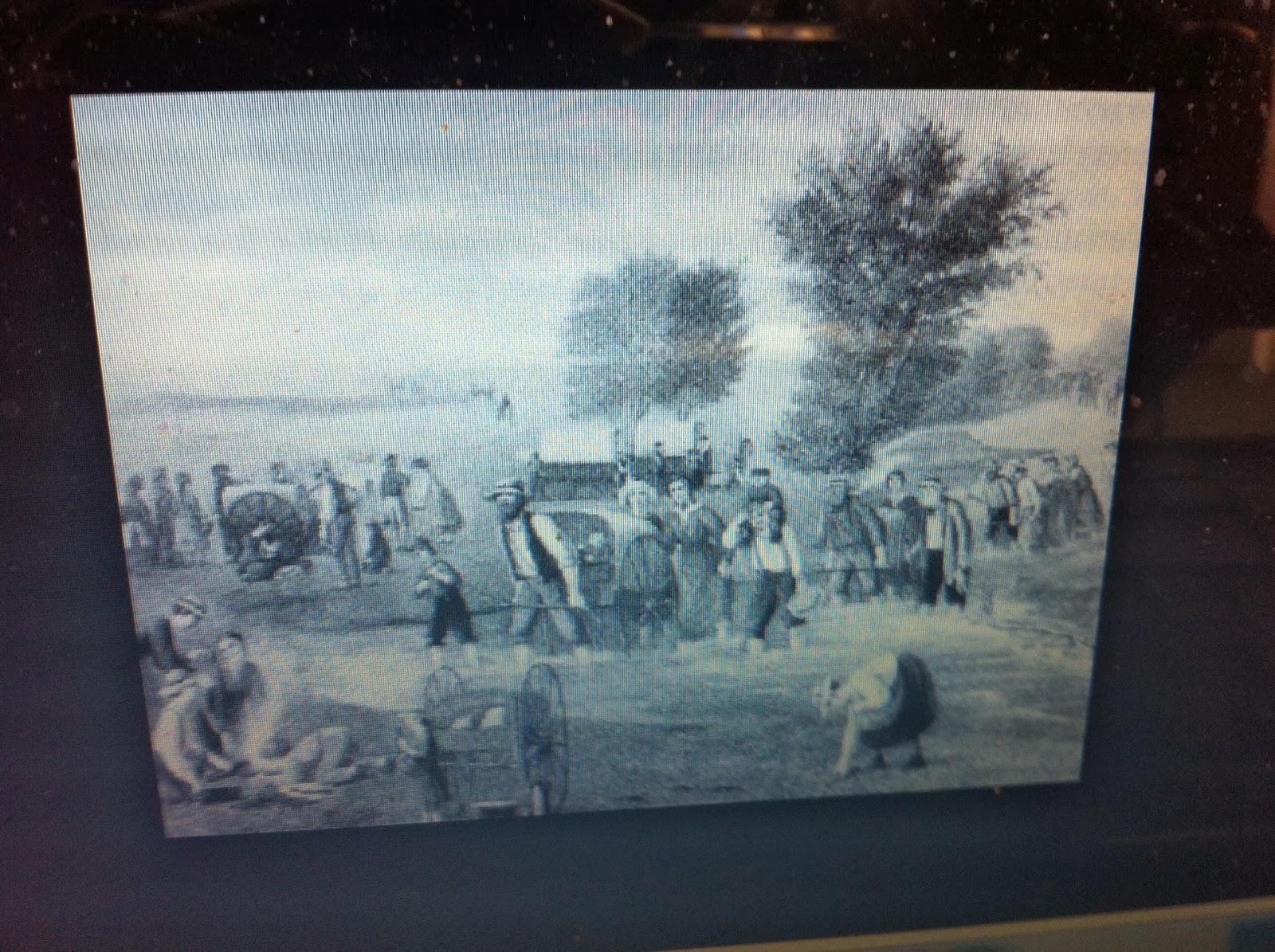 THE BLACK SOCIAL HISTORY:: BLACK SOCIAL HISTORY : THE WATERLOO CREEK