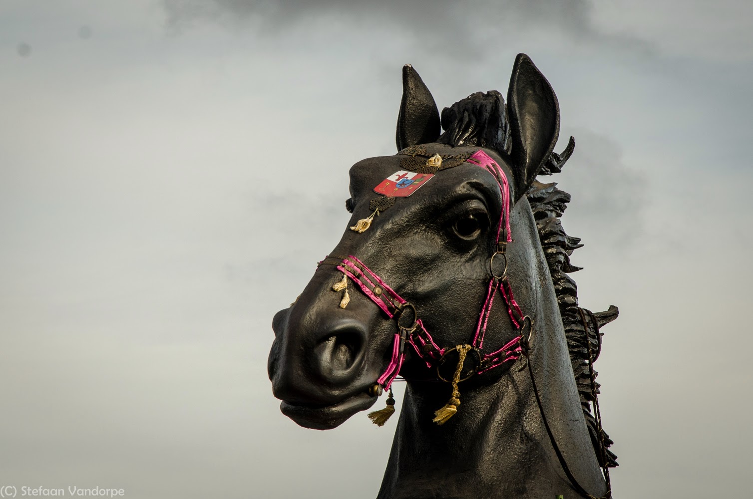 The Never Ending Story De paarden van de hippodroom in Waregem