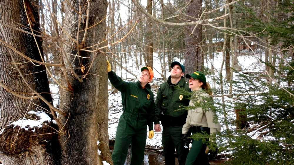 Pennsylvania DCNR rangers