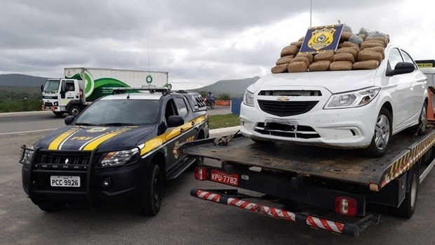 Polícia apreende 50 quilos de maconha e recupera carro clonado no agreste de Pernambuco