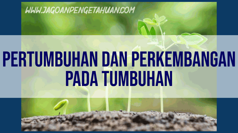 Pengertian Pertumbuhan Dan Perkembangan Pada Tumbuhan Macam