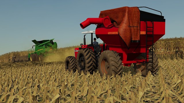 BAZUCA FRANKHAUSER 8010 FS19