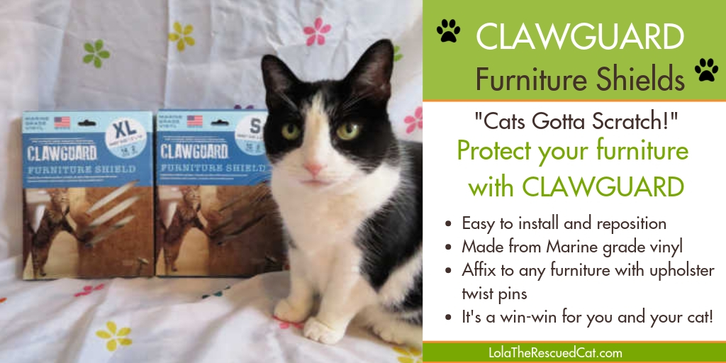 Save Your Furniture With Clawguard Furniture Shields Review, Giveaway
