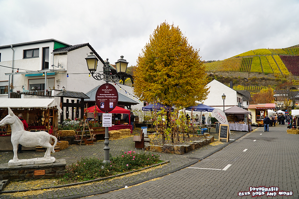 Kerstin Ich Leben Unterwegs Bei Nicole Von Der Weissmacherei