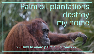 Avoiding palm oil in foods helps save the habitat of creaures such as ourang-outangs